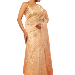 Ivory And Gold Titana Tissue Saree | All Over Aari, Katori & Zardozi Jaal Work | Jaipurio Luxury Collection